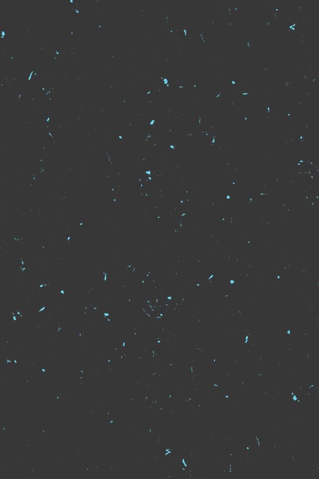 FailArmy Best of the Year So Far 2025