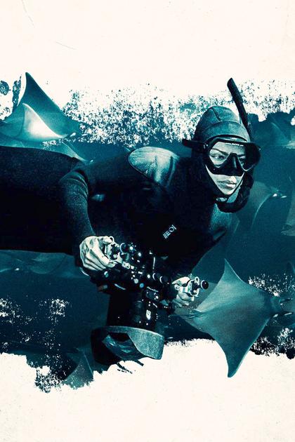 Deep Dive North America