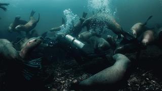 Deep Dive North America