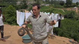 More Mambas & a Python More Mambas & a Python