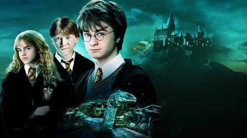 Harry Potter and the Chamber of Secrets