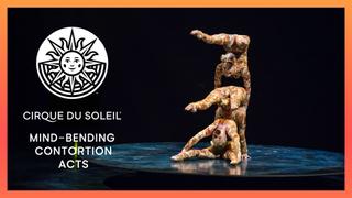 Mind-Bending Contortion Acts