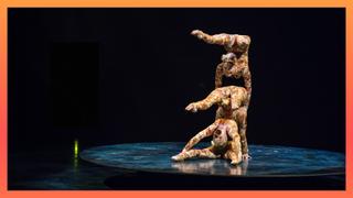 Mind-Bending Contortion Acts