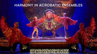 Harmony in Acrobatic Ensembles