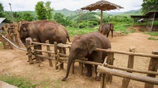 The Road to Recovery The Road to Recovery