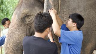 A Deadly Virus A Deadly Virus