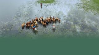 Wetlands: Ephemeral Sanctuaries