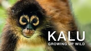 Kalu: Growing Up Wild