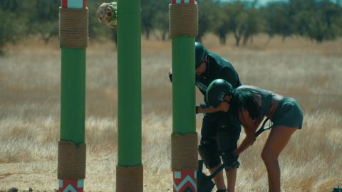 Pride Comes Before the Fall