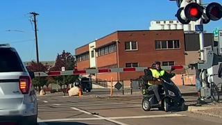 Sterling and Lolo Wood CCIII Sterling and Lolo Wood CCIII