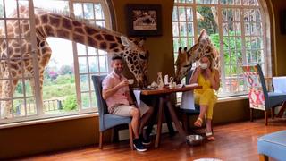 Dine With Animals Dine With Animals