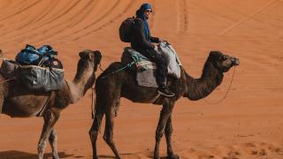 Sahara - Sands of Time Part II