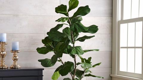 MacKenzie-Childs - Harvest Entertaining