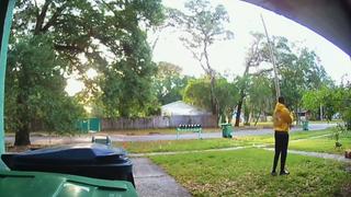 Sterling and Lolo Wood CCXII Sterling and Lolo Wood CCXII