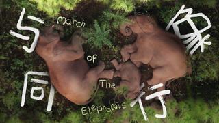 March of the Elephants