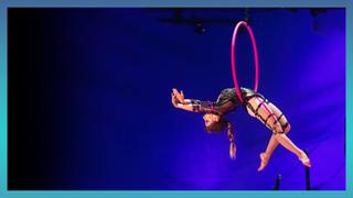 60-Min Special: Corteo, Bazzar & Quidam -- Cirque du Soleil