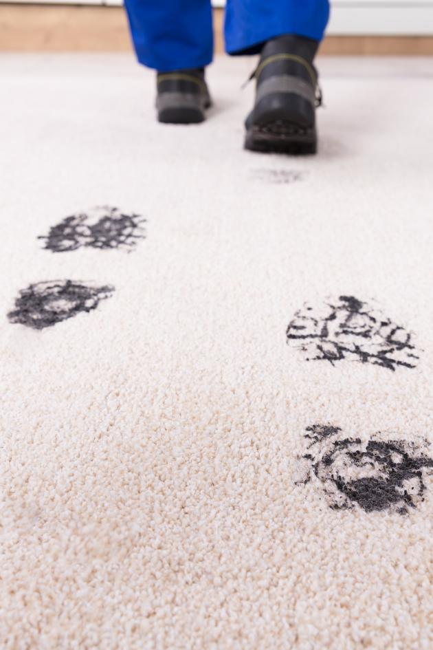 Shark Vacuum's Dirty Little Secret!