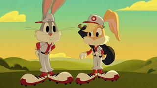 Baseball Bunnies