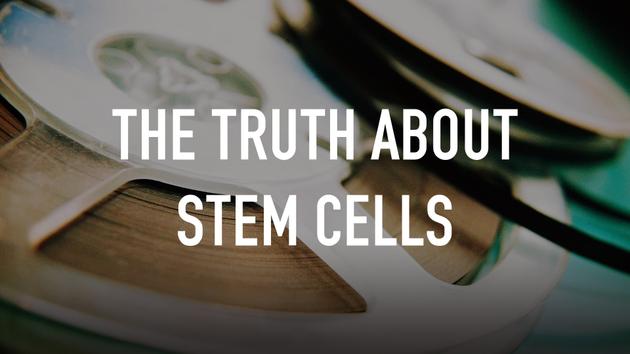 The Truth About Stem Cells