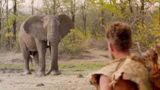 Naked and Afraid Apocalypse