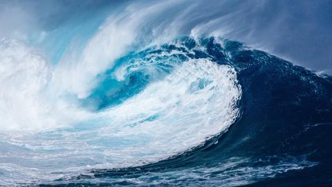 Tsunami: Facing the Global Threat