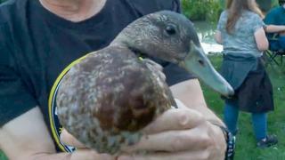 Wardens of the North