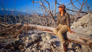 The Greater Antilles The Greater Antilles