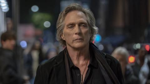 A Wilderness of Mirrors