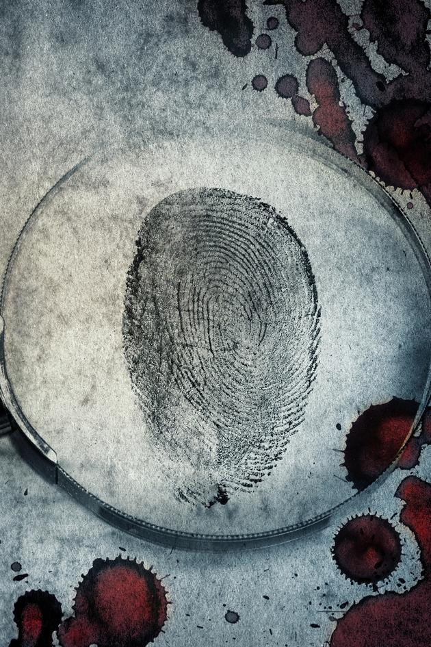 The Friday the 13th Murders
