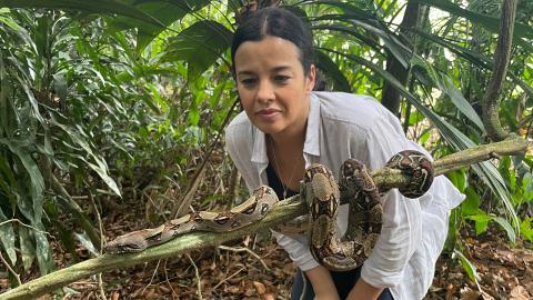 The Central American Coastline