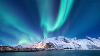 Cycle of Life Cycle of Life