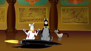 Bat Hound's Bad Luck; Circus of the Dog Stars Bat Hound's Bad Luck; Circus of the Dog Stars