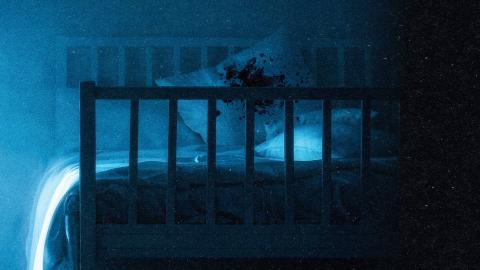 While They Were Sleeping