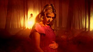 Secret Lives of Sister Wives