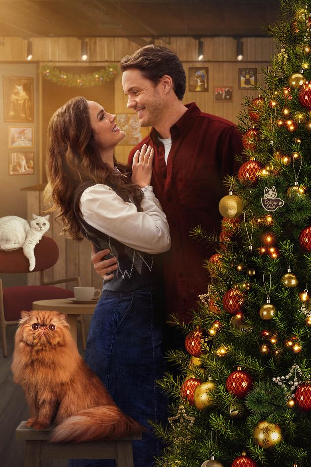 Christmas at the Catnip Café