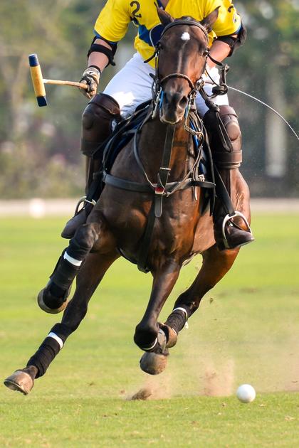 Breakaway: Polo in the Palm Beaches
