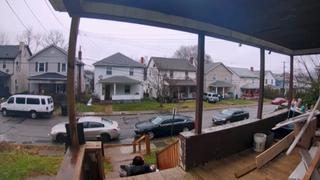 Sterling and Lolo Wood CCXXXIX Sterling and Lolo Wood CCXXXIX