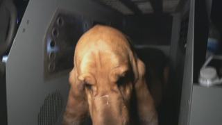 Episode 13 Episode 13