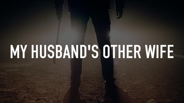 My Husband's Other Wife
