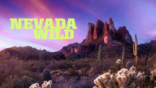  watch Nevada Wild