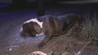 Episode 18 Episode 18