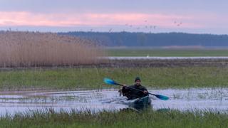 Birdman & the Surfers Birdman & the Surfers