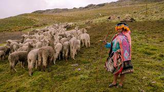 Echoes of the Andes Echoes of the Andes