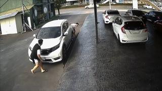 Sterling and Lolo Wood CCXLVII Sterling and Lolo Wood CCXLVII