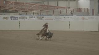 Cowboys, Cowgirls and Cow Horse Cowboys, Cowgirls and Cow Horse
