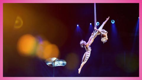 Cirque du Soleil Presents: OVO