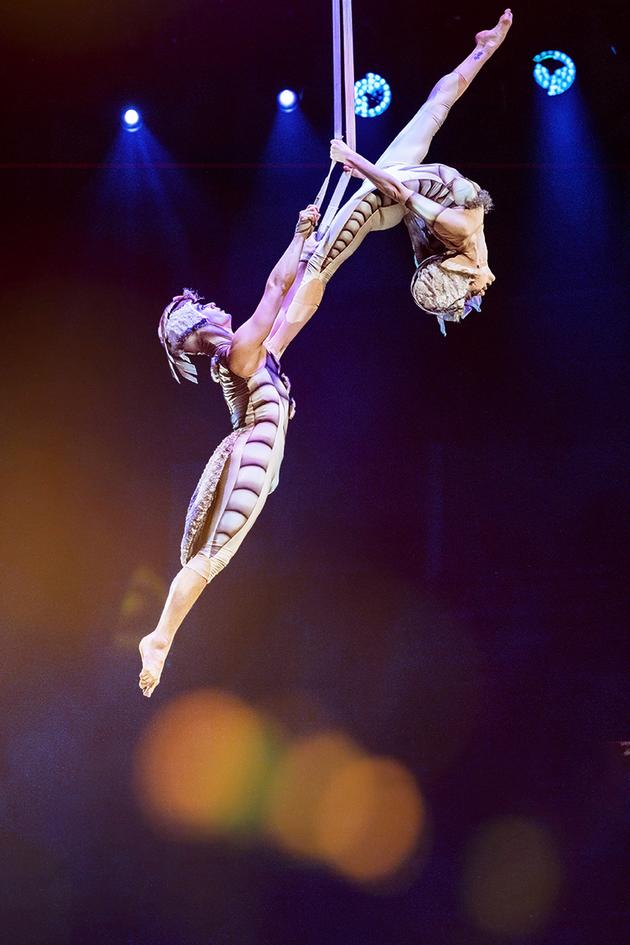 Cirque du Soleil Presents: OVO