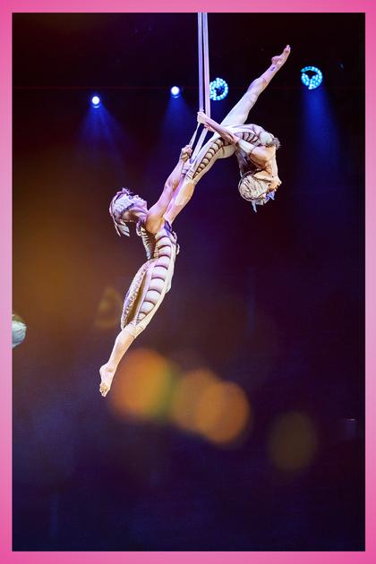 Cirque du Soleil Presents: OVO