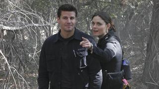 The Headless Witch in the Woods The Headless Witch in the Woods