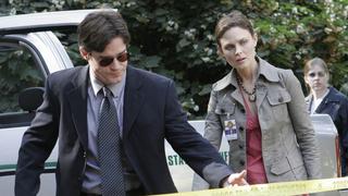 The Girl in the Gator The Girl in the Gator